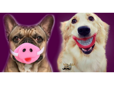 Adorable Dog Squeaky Toys From $2 + Free Shipping @ AliExpress.com