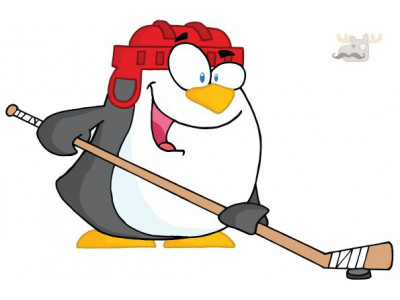 SportChek Canada: 50% Off Bauer Vapor Hockey Bags - Now $30 & Free Shipping