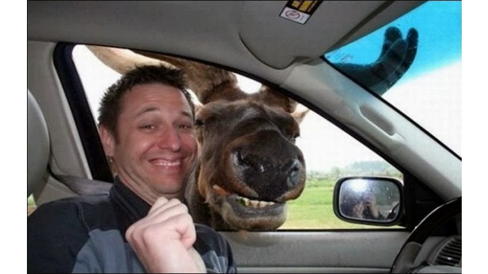 Happy 7th Birthday Bargainmoose! Final Caption Contest to win Amazon.ca Vouchers! (CLOSED)