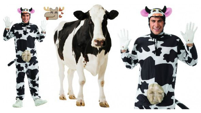 Comical Cow Costume Just $30 + Free Shipping @ Amazon.ca