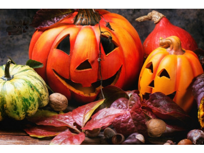 77% Off Halloween Style Your Pumpkin Monster Was $9 | Now $2 @ Chapters Indigo