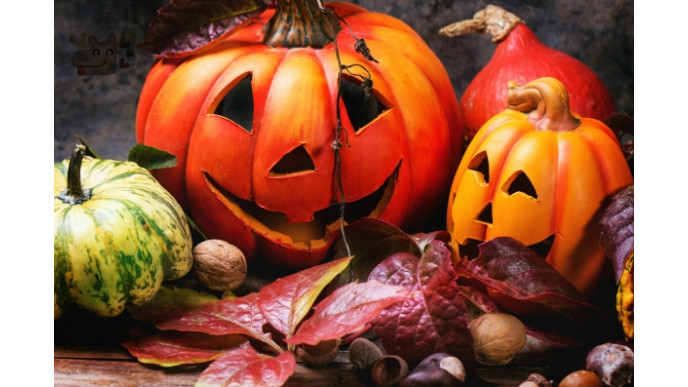 77% Off Halloween Style Your Pumpkin Monster Was $9 | Now $2 @ Chapters Indigo
