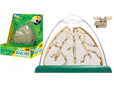 Insect Lore Live Ant Hill Was $20 | Now $6 + Free Shipping @ Chapters Indigo Canada (EXPIRED)