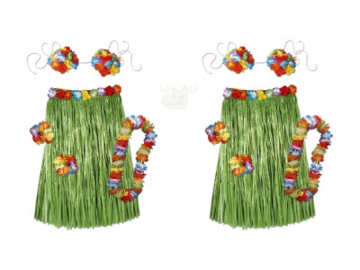 78% Off Beistle Child Hula Set - Now $5 @ Amazon Canada (EXPIRED)