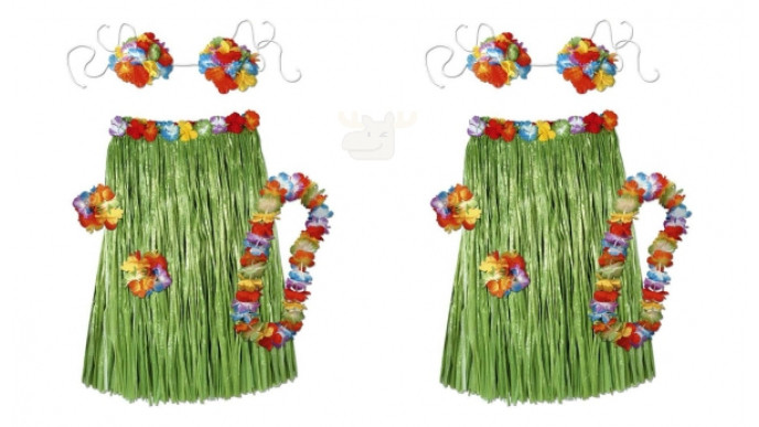 78% Off Beistle Child Hula Set - Now $5 @ Amazon Canada (EXPIRED)