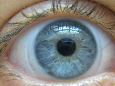 Perfect Lens Coupon Code: Get $10 off $39 & Free Shipping! 