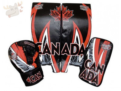 Street Legal 21" Road Hockey Goalie Set was $47 now $30 @ Walmart.ca!