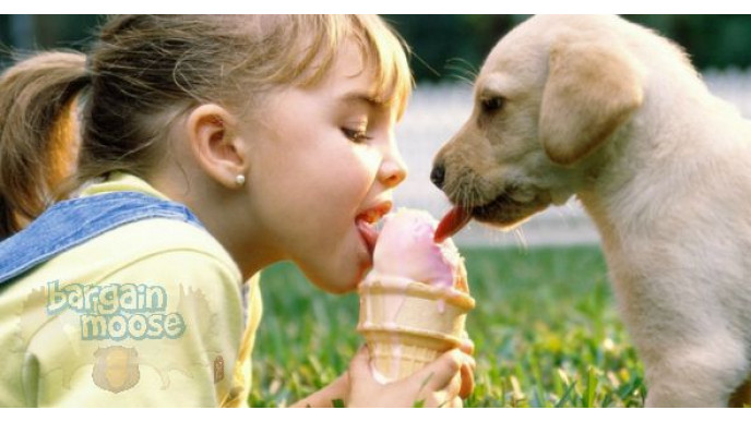 Pampers Gifts To Grow Canada: 35 Free Rewards Points