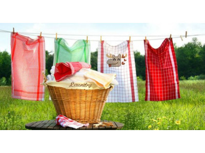 Free Resolve Gold Oxi-Action or Crystal White Stain Remover with MIR