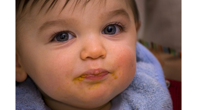 Shop.ca: Baby Brezza 1-Step Baby Food Maker Was $125 | Now $85