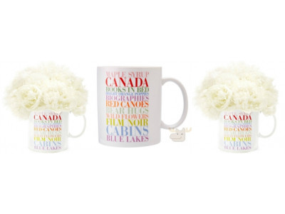 74% Off Canada Loves Jumbo Vase Was $39.50 | Now $10 @ Chapters Indigo
