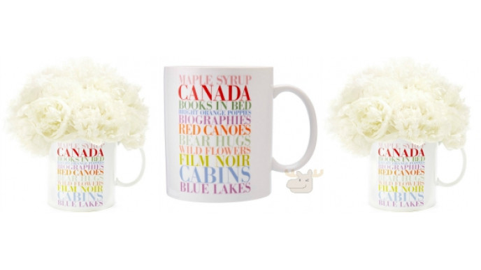 74% Off Canada Loves Jumbo Vase Was $39.50 | Now $10 @ Chapters Indigo
