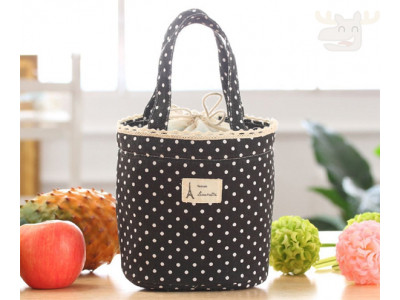 Cute Lunch Totes from only $3.99 @ Amazon.ca! 