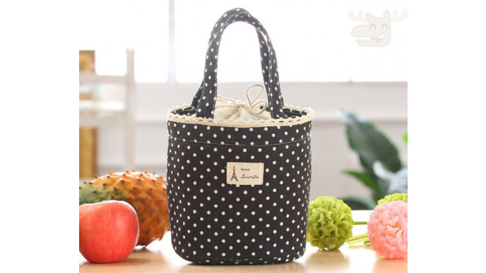 Cute Lunch Totes from only $3.99 @ Amazon.ca! 