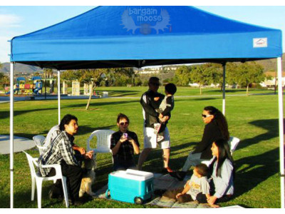 Costco Canada: Impact AOL Instant Canopy Kit - Just $270 & Free Shipping!