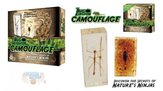 (Save 83%) Discover With Dr. Cool Bug Camouflage Set now only $13  @ Amazon.ca! (EXPIRED)