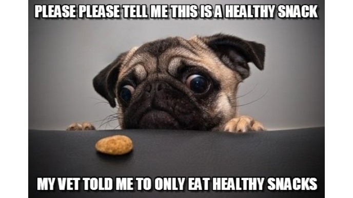 Big Al's Pets Canada: Save Up To 70% Off Sales Items With These Leaked Coupon Codes