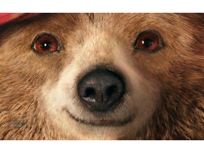 Amazon.ca : Paddington [Blu-ray + DVD + Digital] Was $37 | Now $17