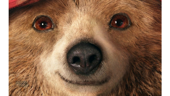 Amazon.ca : Paddington [Blu-ray + DVD + Digital] Was $37 | Now $17