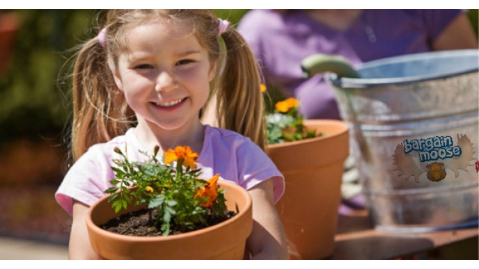 Cool Toys For Tots Canada: Melissa & Doug Sunny Patch Toys From $1 + FS On $60