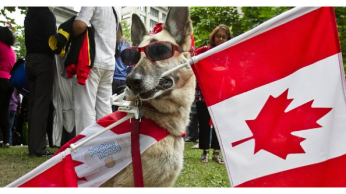 PJ's Pets Canada Print Coupon: Buy 1 Get 1 50% Off Pet Food & Other Pet Supplies (EXPIRED)