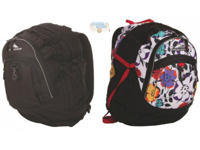 High Sierra Fatboy Backpacks Were $60 | Now $15 (FS @ $25+) @ Best Buy Canada