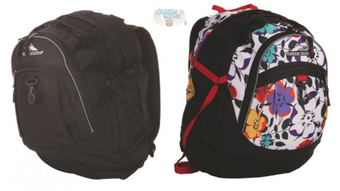 High Sierra Fatboy Backpacks Were $60 | Now $15 (FS @ $25+) @ Best Buy Canada
