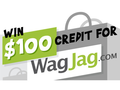 Bargainmoose Contest: Win a $100 Credit For WagJag & Exclusive $5 Off $20 (EXPIRED)