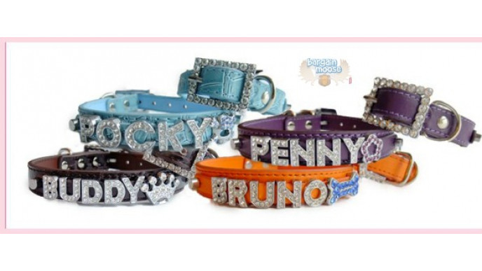 Furry Gems Going Out of Business Sale: Everything Under $13 & Extra 15% Off