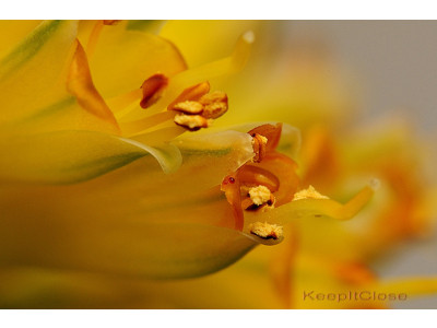 The Body Shop Canada: Aloe Starter Kit Was $25 | Now $10 