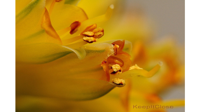 The Body Shop Canada: Aloe Starter Kit Was $25 | Now $10