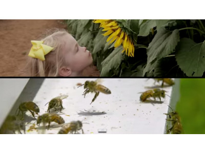 Canadian Freebie: Flower Seed Packet From Bees Matter Canada