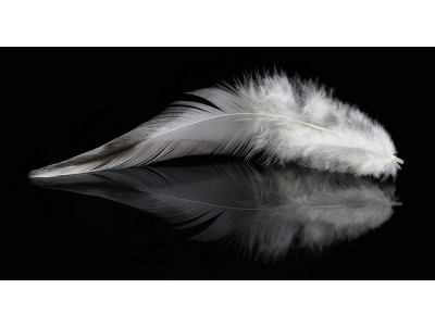 Hudson's Bay Canada: GlucksteinHome European Feather Down Duvet & Bonus Travel Pillow Was $460 | Now $123 & Free Shipping