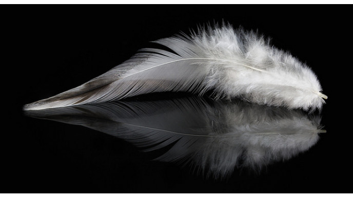 Hudson's Bay Canada: GlucksteinHome European Feather Down Duvet & Bonus Travel Pillow Was $460 | Now $123 & Free Shipping