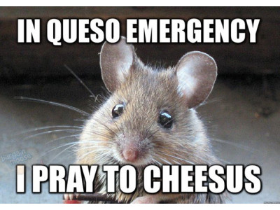 Free 'All You Need Is Cheese' Magazine @ Dairy Goodness Canada