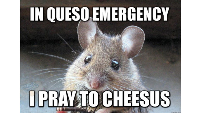 Free 'All You Need Is Cheese' Magazine @ Dairy Goodness Canada