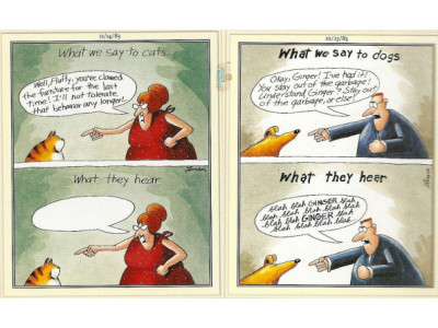 Chapters Indigo: The Complete Far Side Was $72 | Now $58 with Visa Checkout