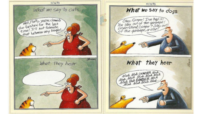 Chapters Indigo: The Complete Far Side Was $72 | Now $58 with Visa Checkout