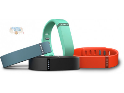 Chapters Indigo: Fitbit Flex Was $120 | Now $79.96 with Visa Checkout