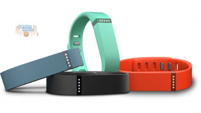 Chapters Indigo: Fitbit Flex Was $120 | Now $79.96 with Visa Checkout