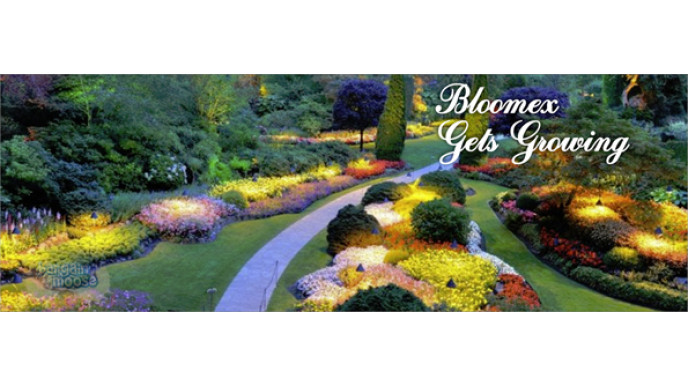 Bloomex Gardens Glitch?? $5 Coupon & Free Shipping: Choose Something Practically For Free!? *HOT*