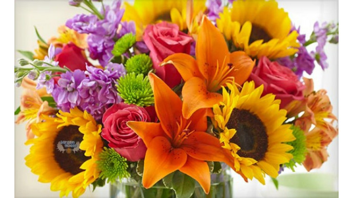 WagJag Canada: $20 For $40 @ 1800 Flowers