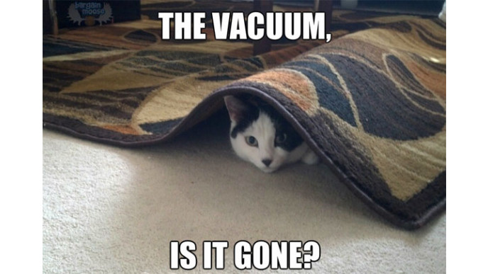 Lowe's Canada: 70% Off Bissell 48K2C CleanAlong Vacuum - Was $229 | Now Just $69 (& Free Shipping!)