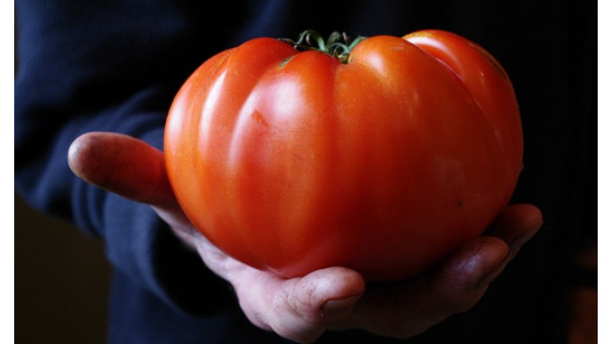 (Save 50%) Canadian Gardening Magazine One Year Subscription Now Only $10 @ Wagjag