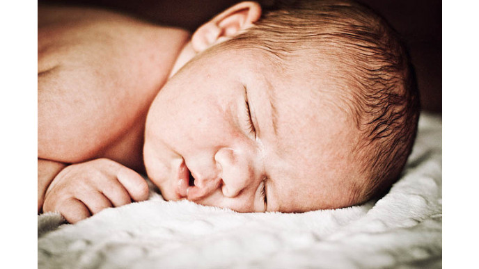 sealy crib mattress canada