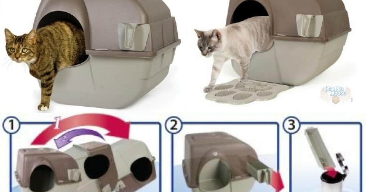 Amazon.ca Omega Paw Roll N Clean Self Cleaning Litter Box (L) Was 56