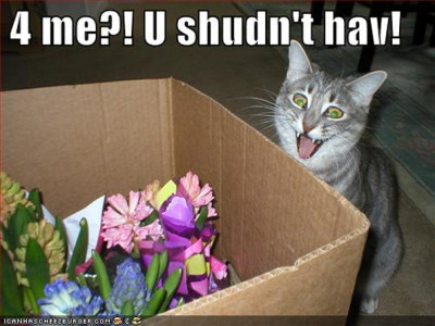 Flowers Canada Coupon Code: 