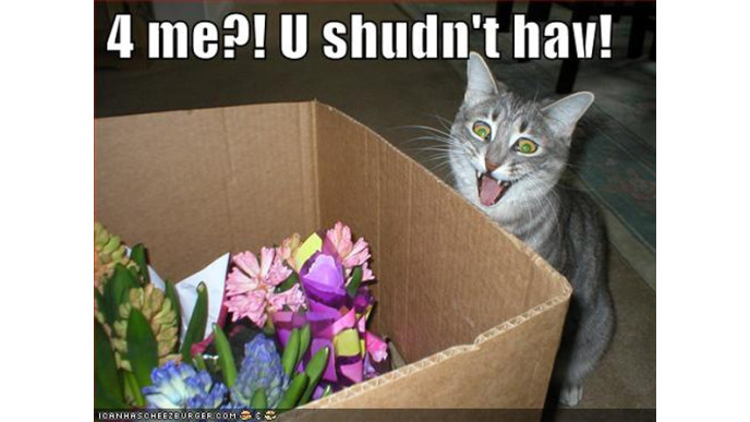 Flowers Canada Coupon Code: Free Shipping (Saves $15)!