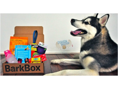 Take Up To 41% Off Three Or Six Month Subscriptions for BarkBox @ Groupon Canada