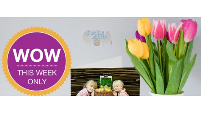 PhotoLab Coupon Code: BOGO Free Greeting Cards